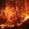 Plano de Defesa da Floresta Contra Incêndio  Plano de Defesa da Floresta Contra Incêndio